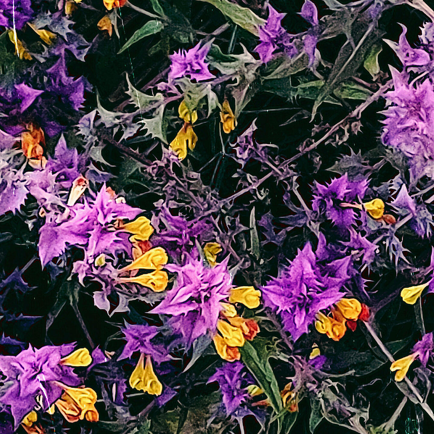 31 August 2023 Ivonna - see polnud neile